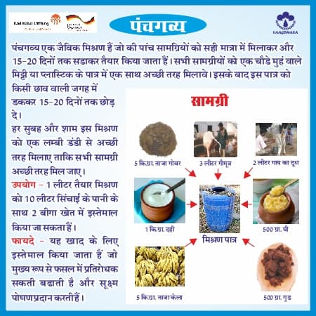 पंचगव्य