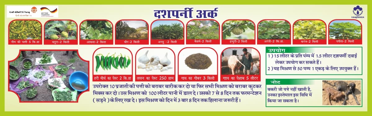 दशपर्णी अर्क बनाने की विधि
