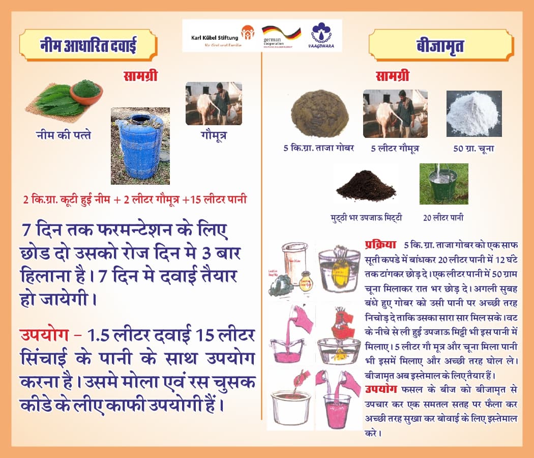 Preparation of Neem-Based Medicine and Beejamrut