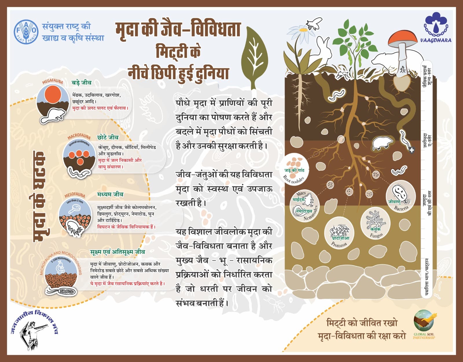 मृदा की जैव-विविधता: मिट्टी के नीचे छिपी हुई दुनिया