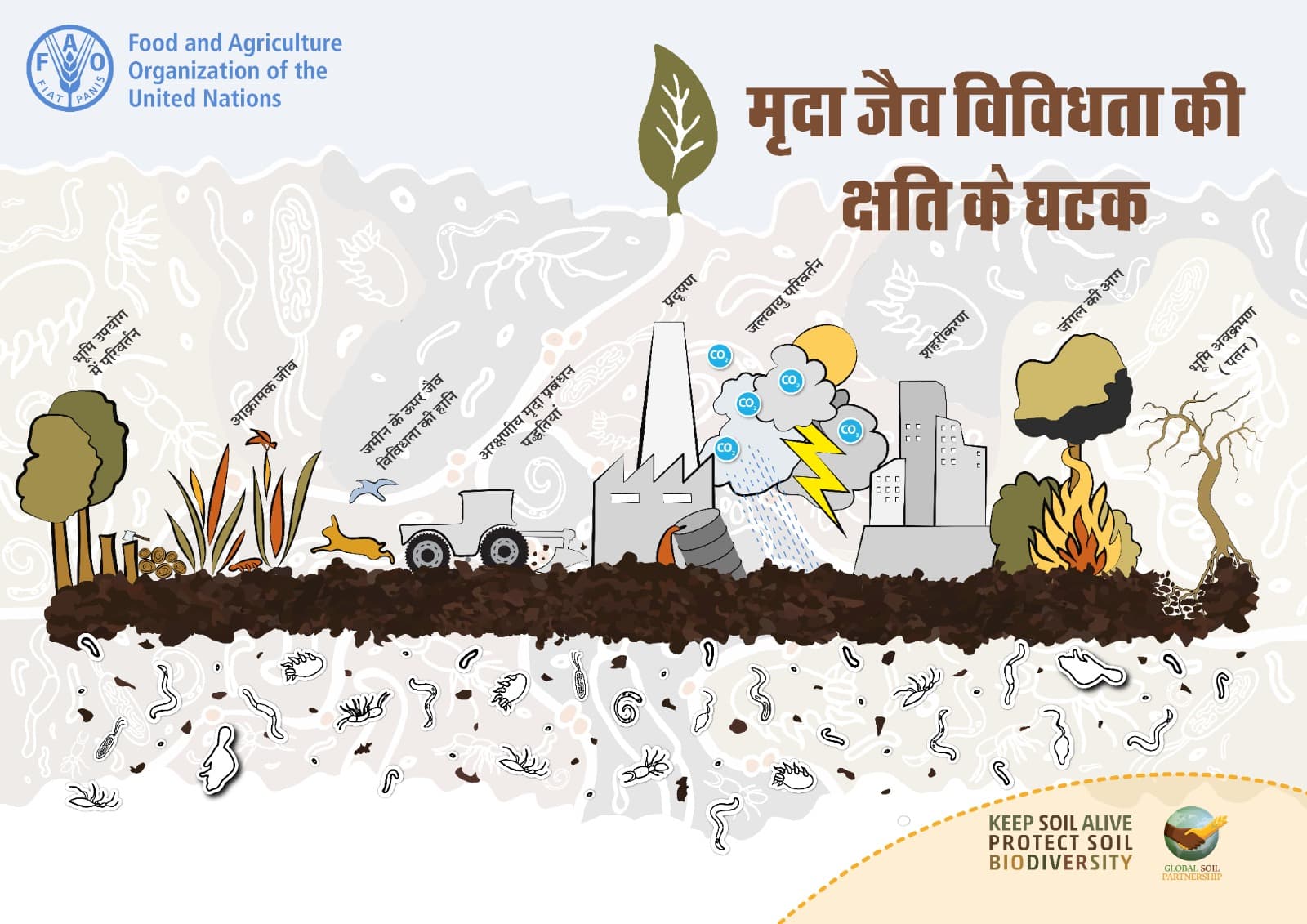 मृदा जैव विविधता की क्षति के घटक