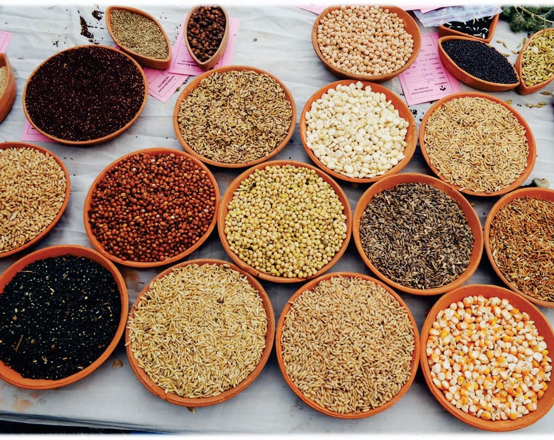 Seed Sovereignty in Tribal Agriculture: Key to Atamanirbhar Adivasi