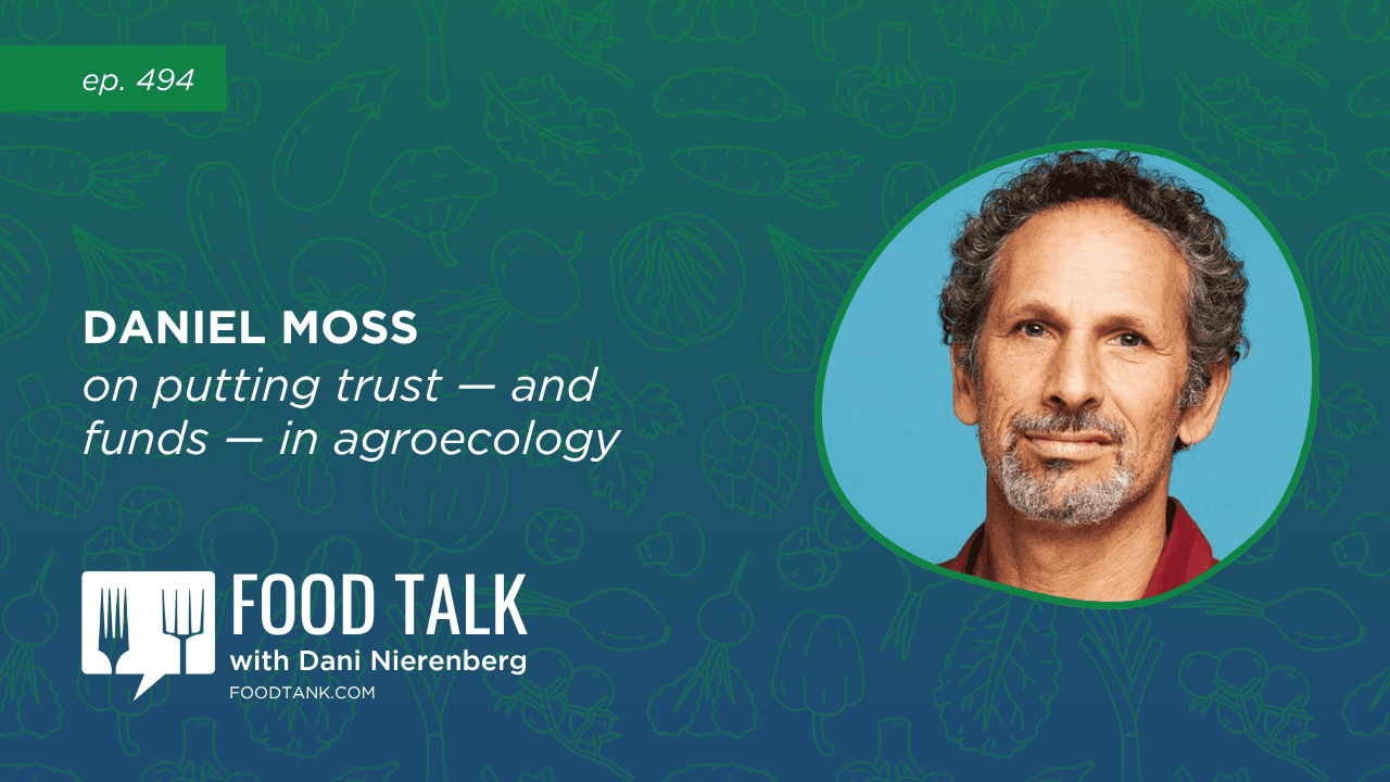 Deforestation Declines, Solutions for Diet-Related Illnesses in Kenya, and a Conversation with Daniel Moss on Putting Trust — and Funds — in Agroecology
