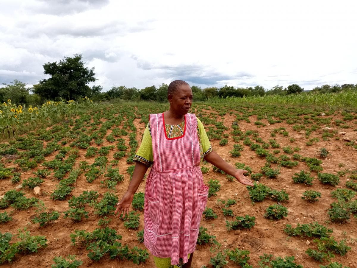 The Voice of AFSA: Meet Elizabeth Mpofu