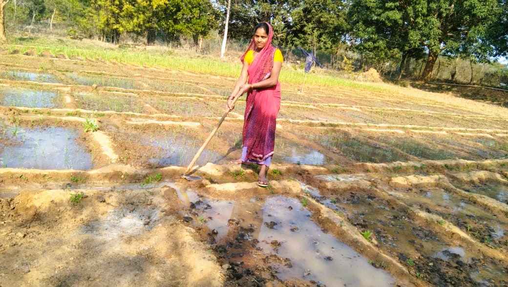 Gender Equality in Agriculture- Insights from Women Farmers of Jharkhand and West Bengal