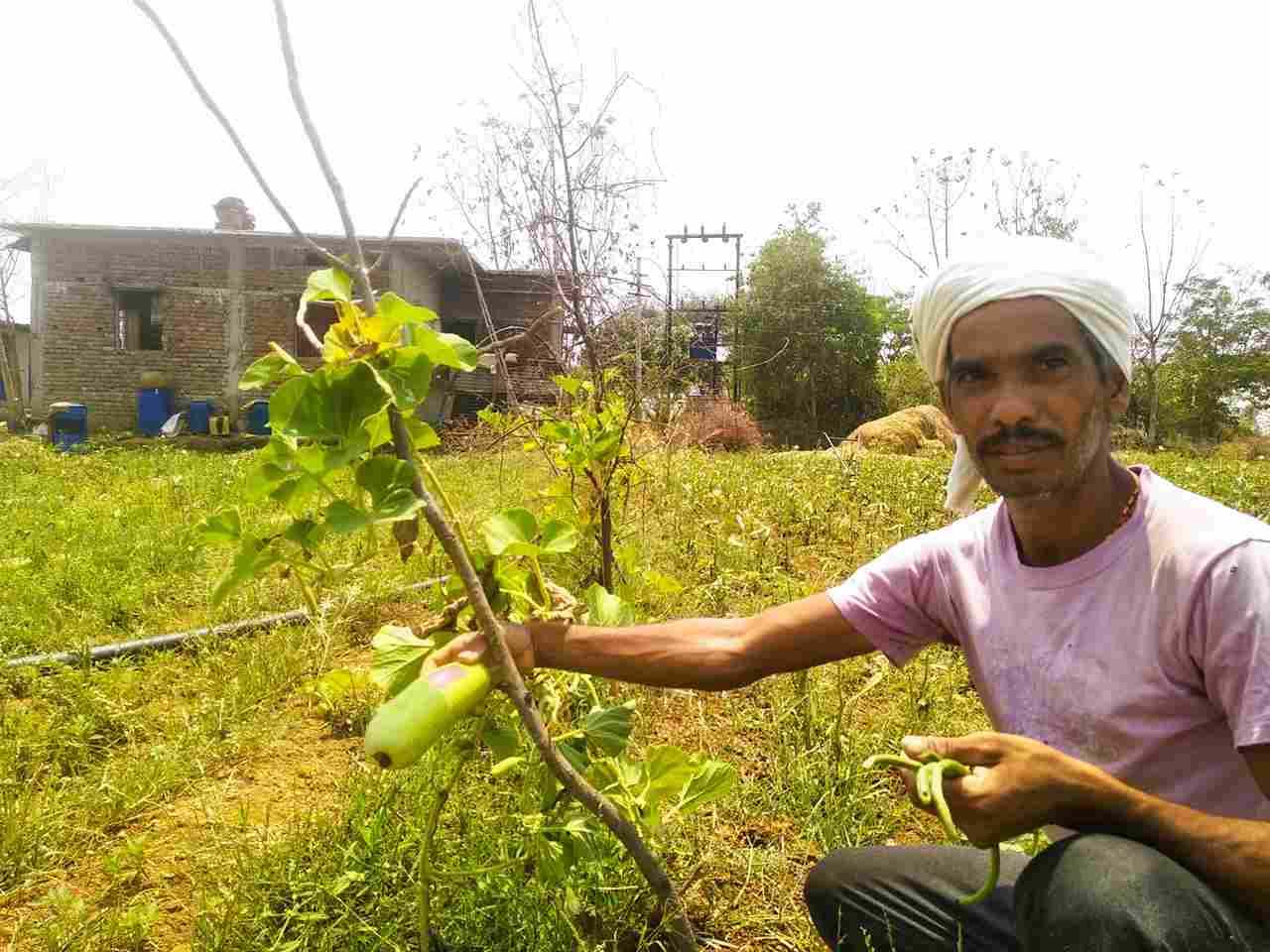 Challenges in Natural farming