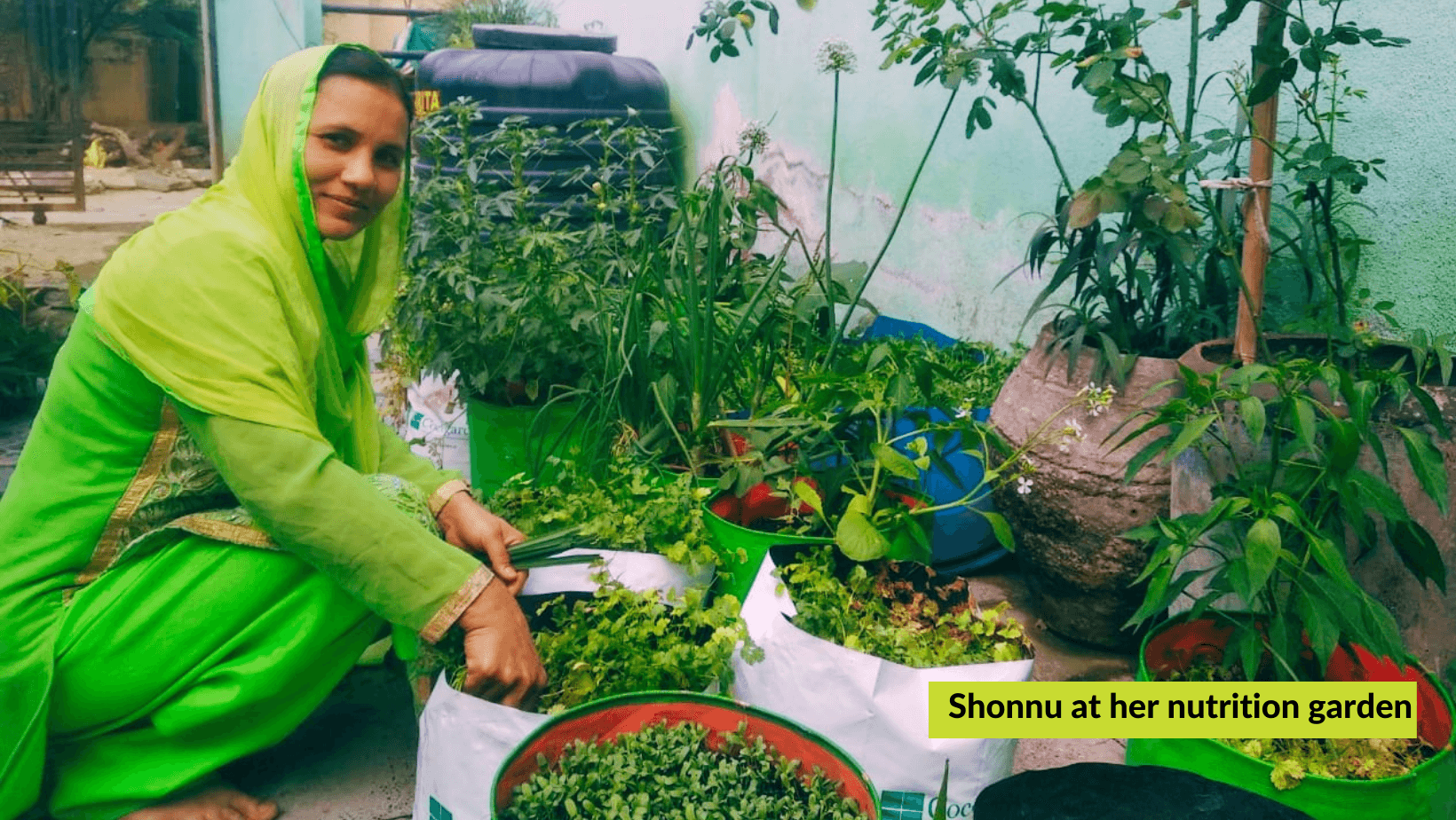 “Enjoying Green Goodness in my Backyard”: Story of Shonnu
