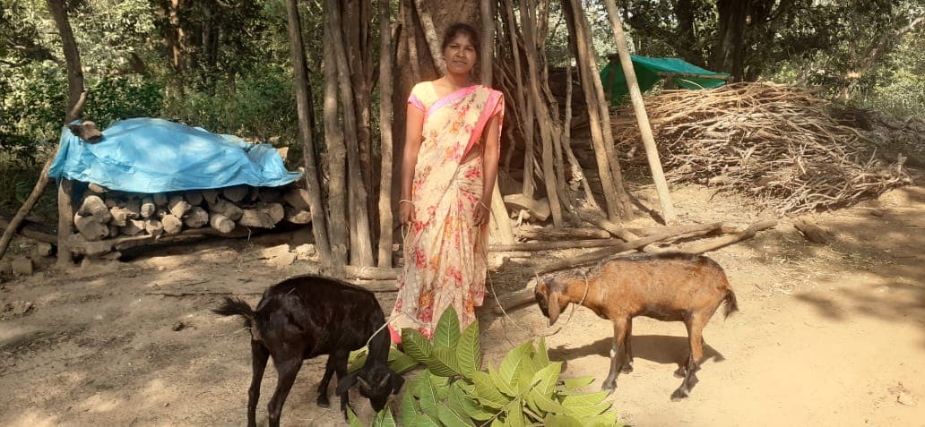 "No One Left Behind": Building Livelihoods for Dignified Lives during the Pandemic