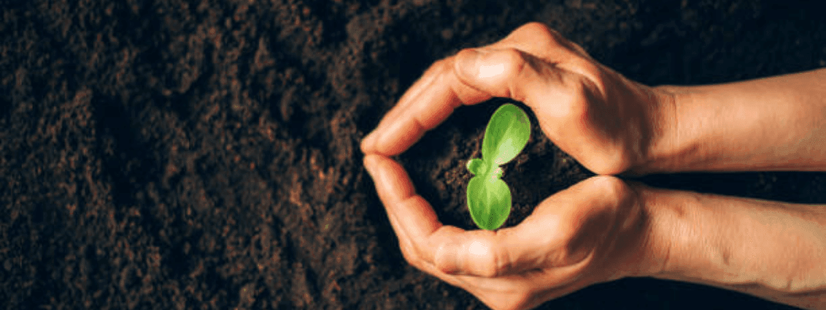 Support Is Nurturing Towards Resilience: Tina's Story