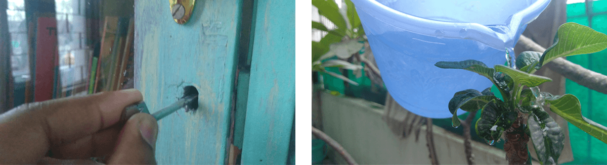 Light is a new beginning