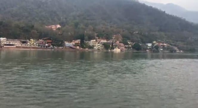 Celebrating Life on Endangered Species Day