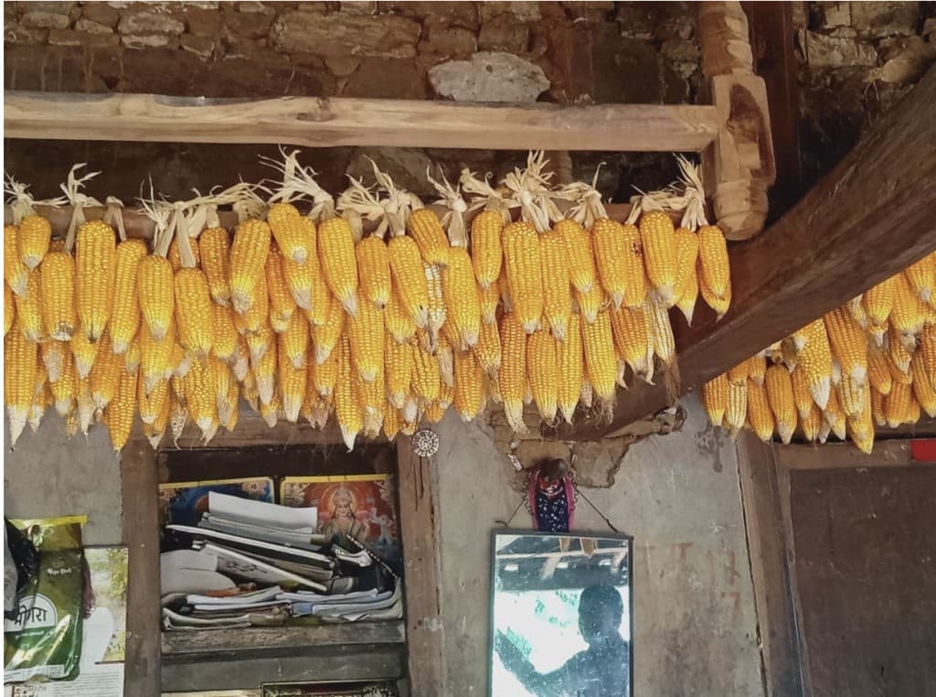 Seed Swaraj for Tribal Communities