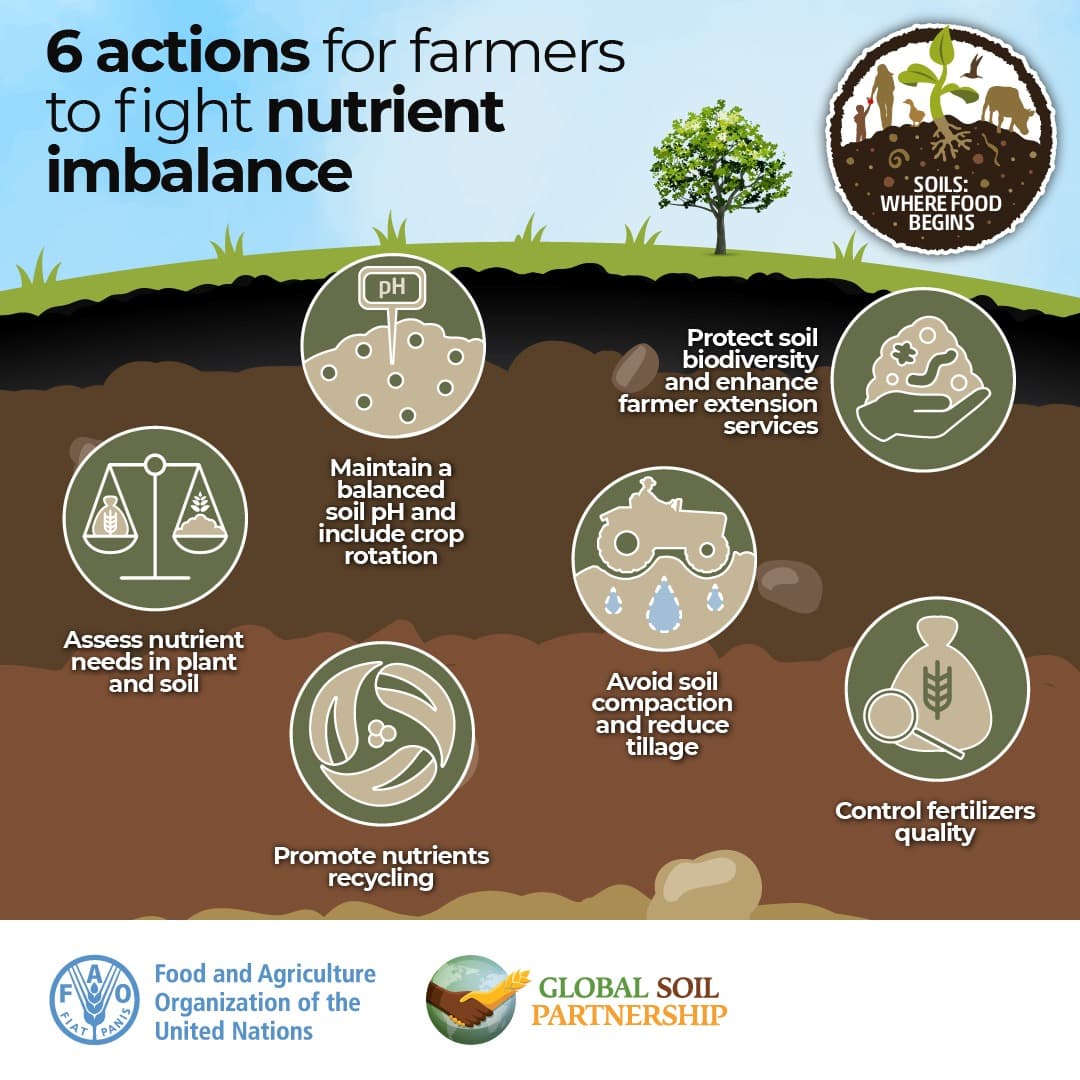 6 Actions for Farmers to Fight Nutrient Imbalance