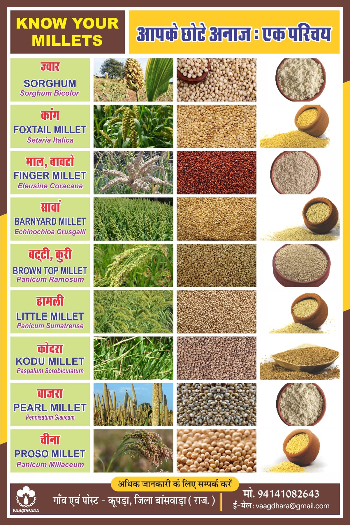 Know Your Millets: An Introduction
