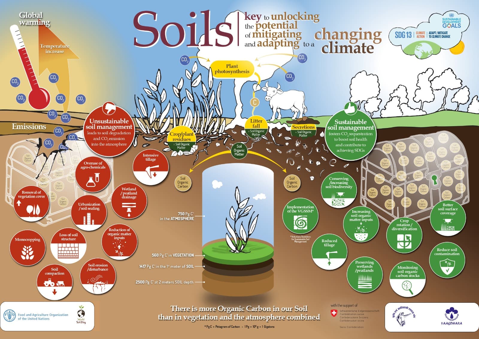 Soils: The Key to Mitigating and Adapting to Climate Change